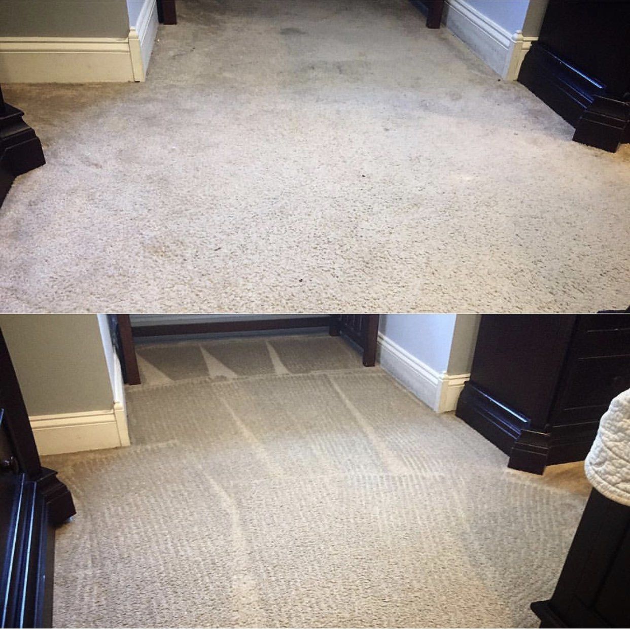 Carpet Cleaning