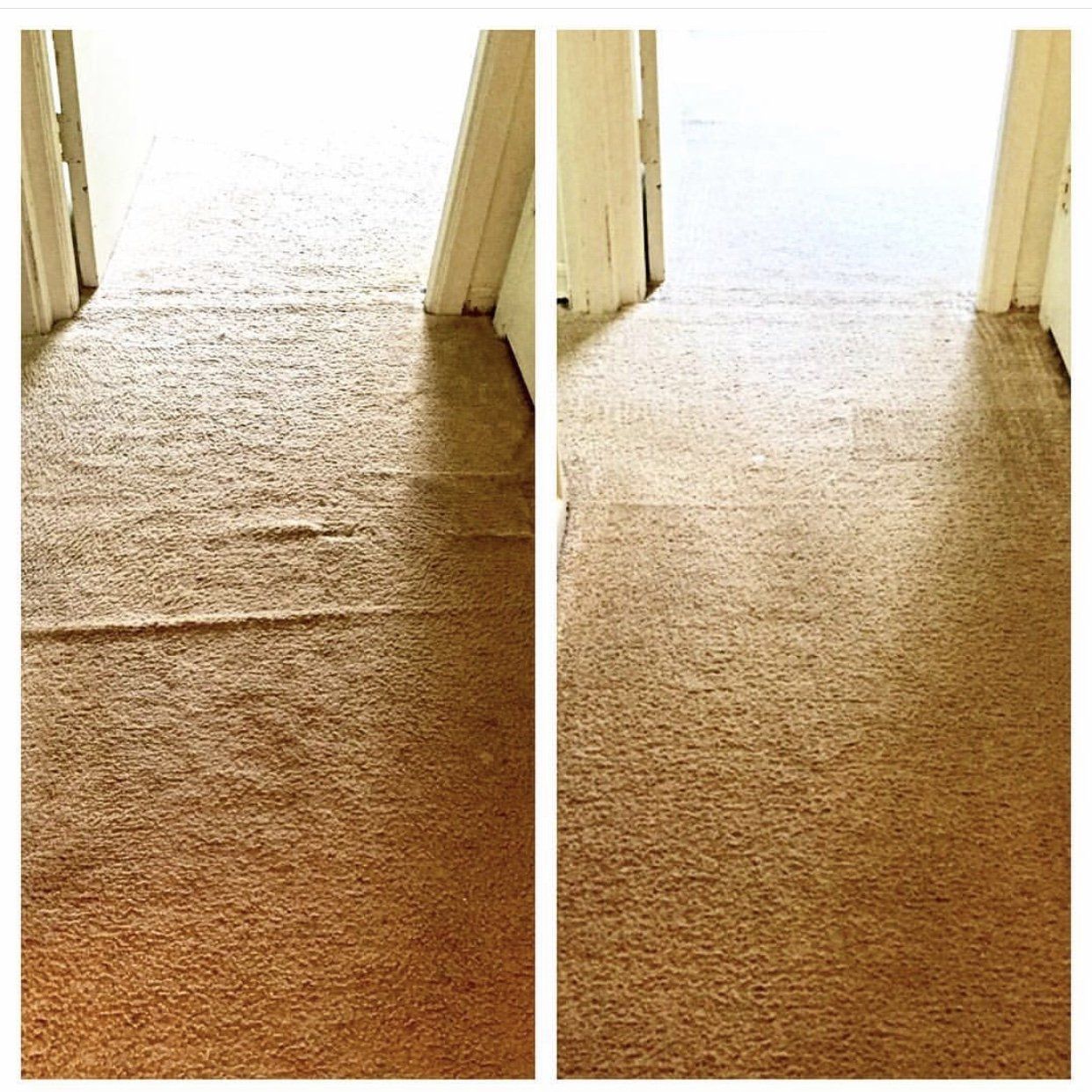 Carpet Repair