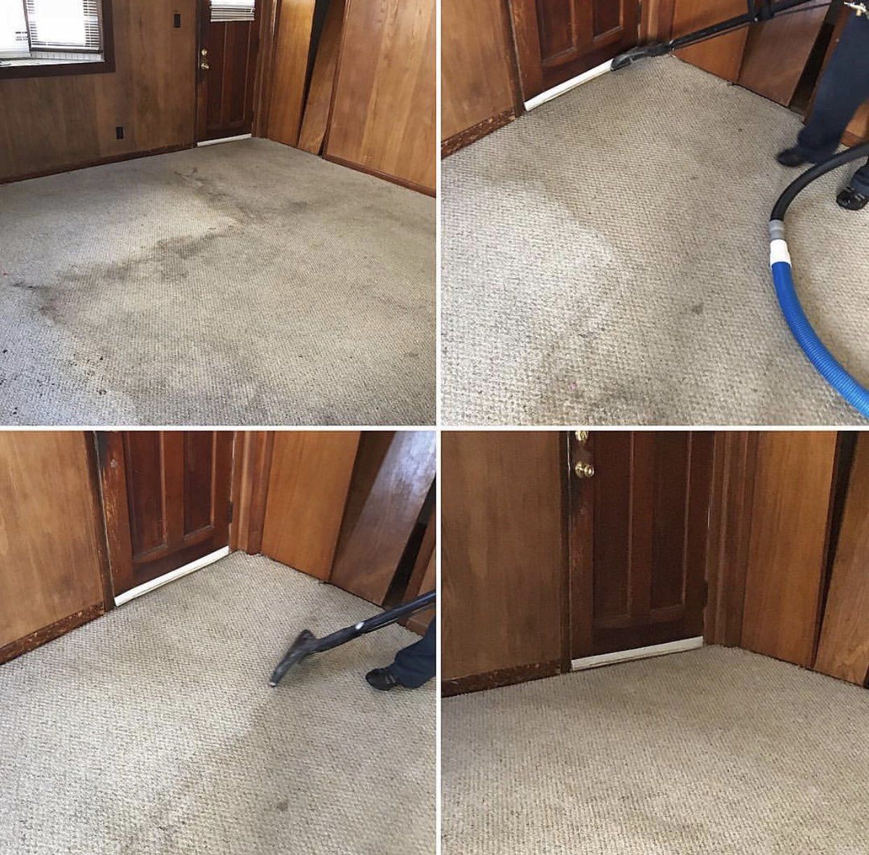 Carpet Cleaning