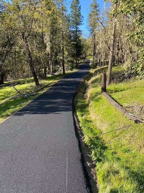 A road going through a forest with trees on both sides.