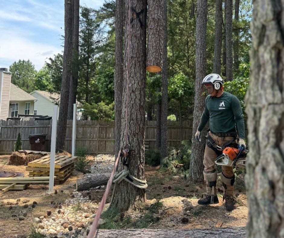 A man is cutting a large log with a chainsaw.