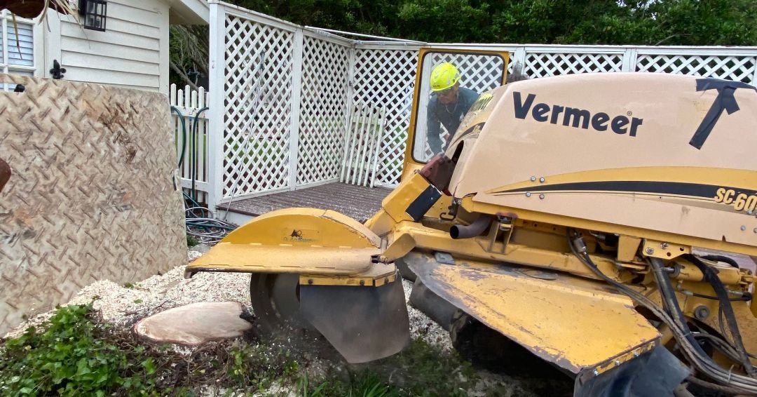 A yellow stump grinder is grinding a tree stump in a yard.