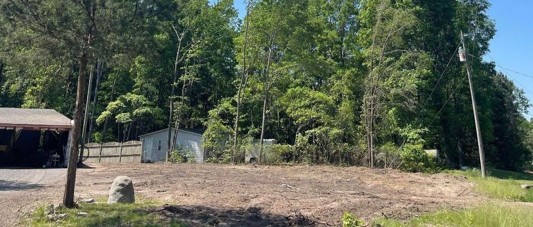 A bulldozer is cutting down a tree in the middle of a forest.