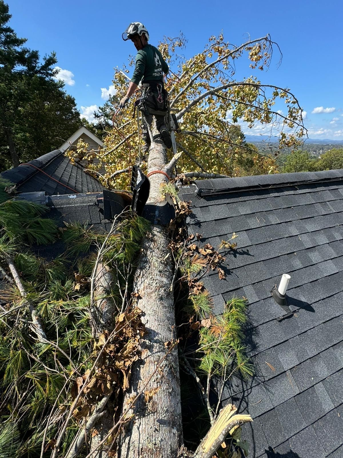 A man is standing on top of a tree stump on a roof.