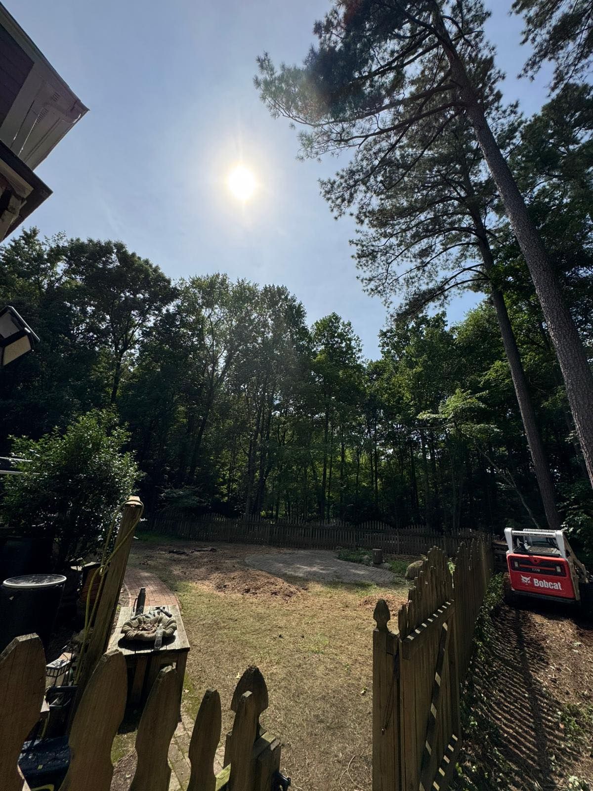 A backyard with tall trees. A wooden fence is in the foreground. - After