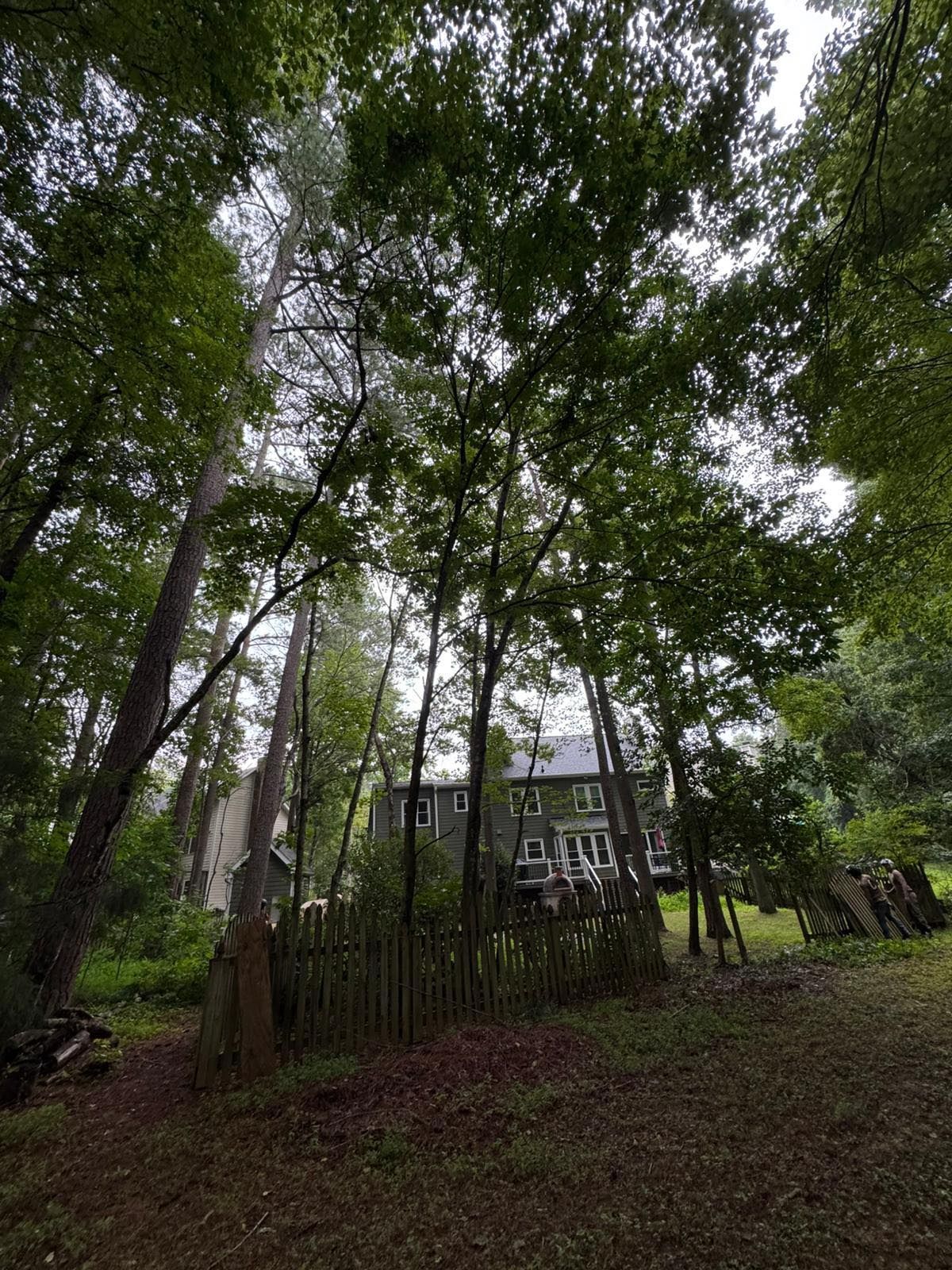 House nestled among trees under a partly cloudy sky, with a wooden fence in the foreground. - Before