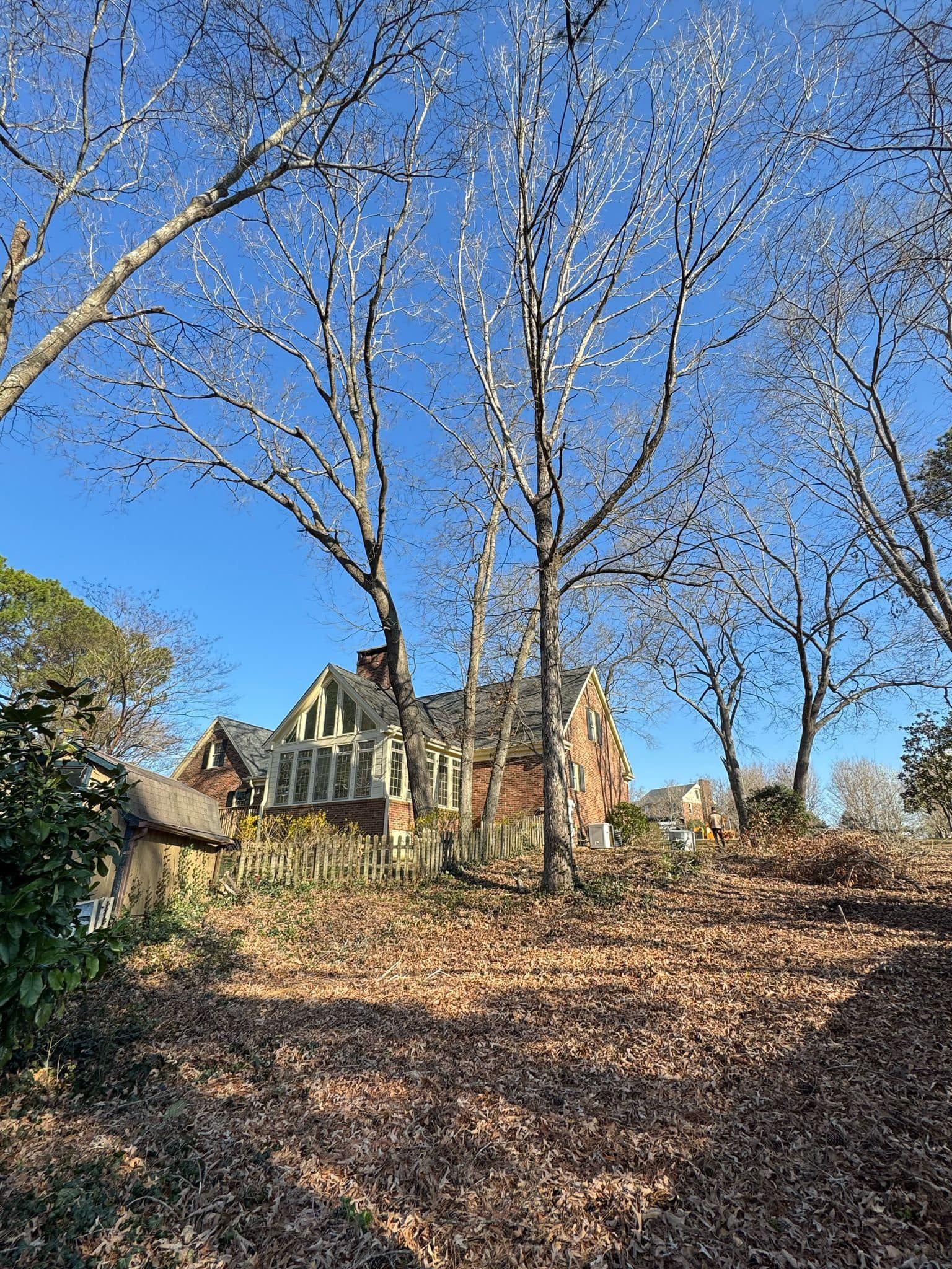 A large house is surrounded by trees and leaves on a hill.