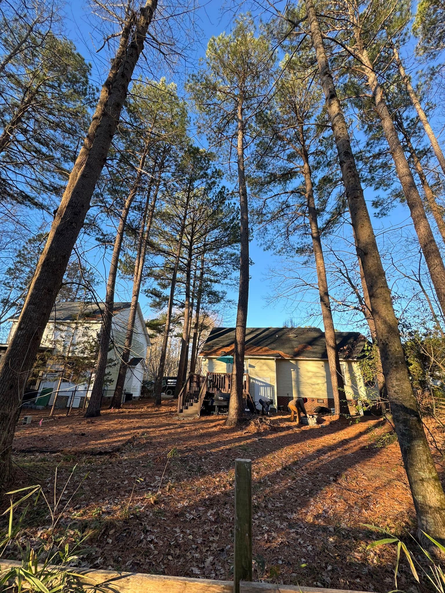 A house is sitting in the middle of a forest surrounded by trees.