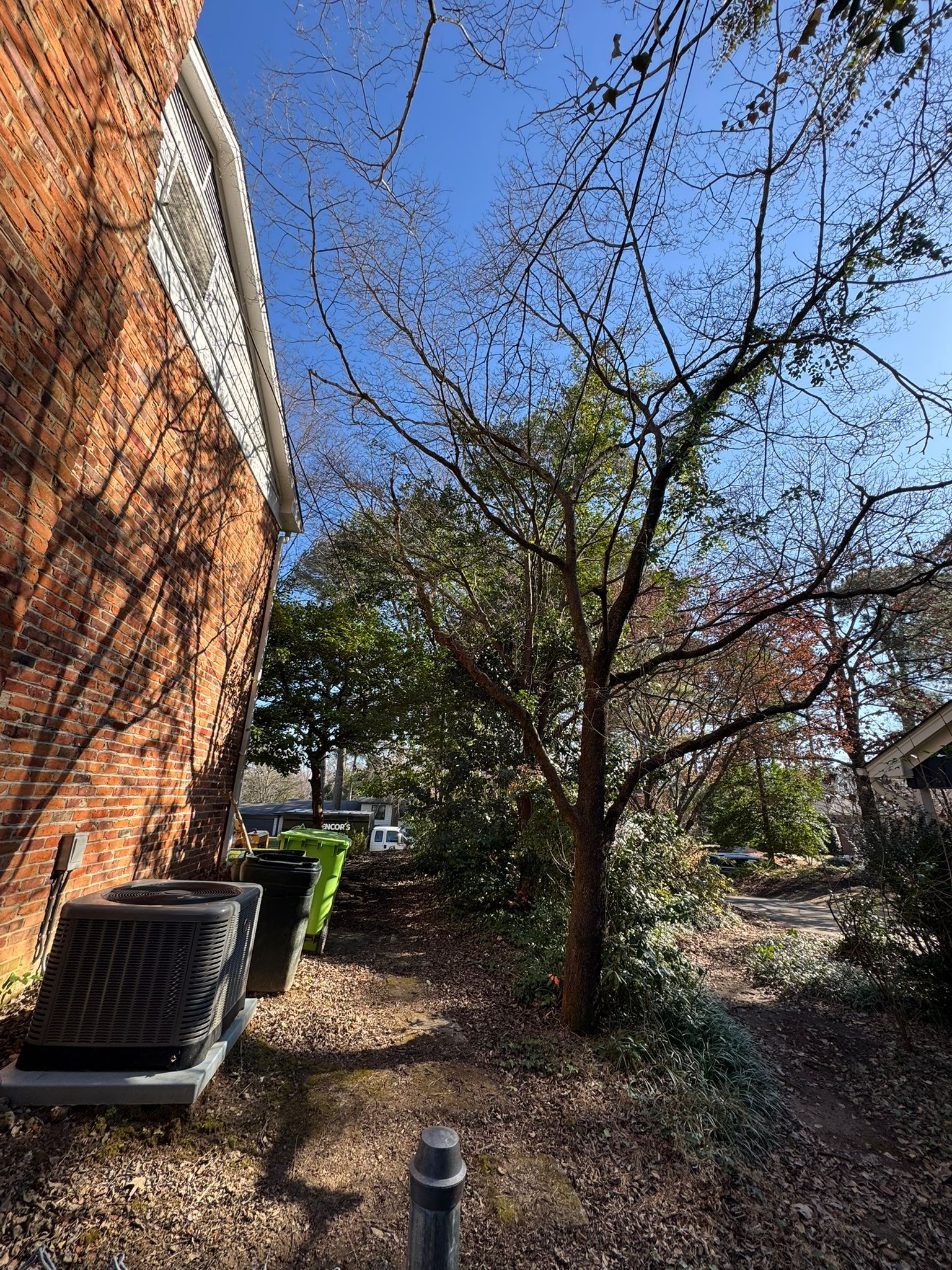 A brick building with a tree in front of it.