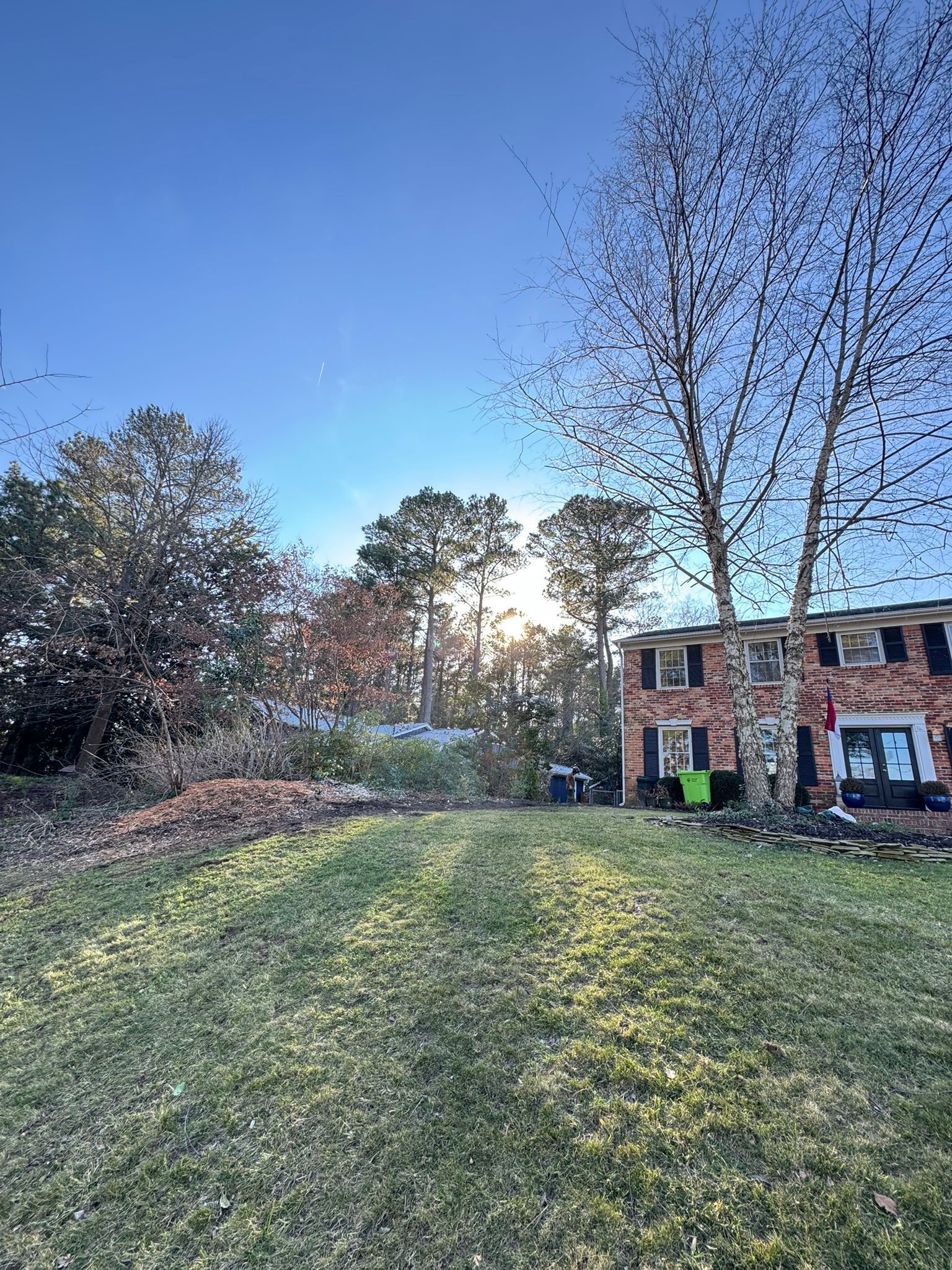 The sun is shining through the trees in the backyard of a house.