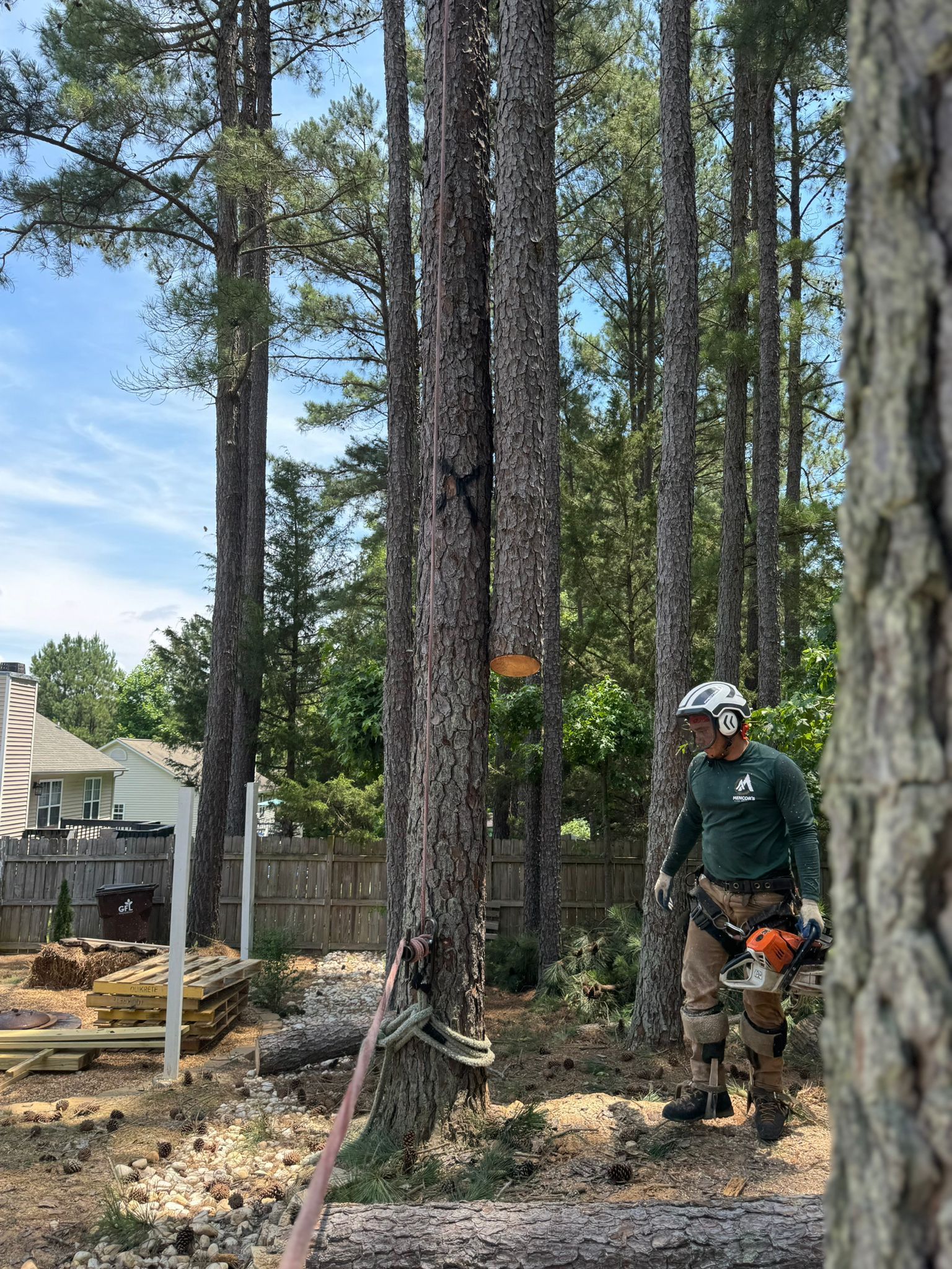 A man is standing in the middle of a forest with a chainsaw.