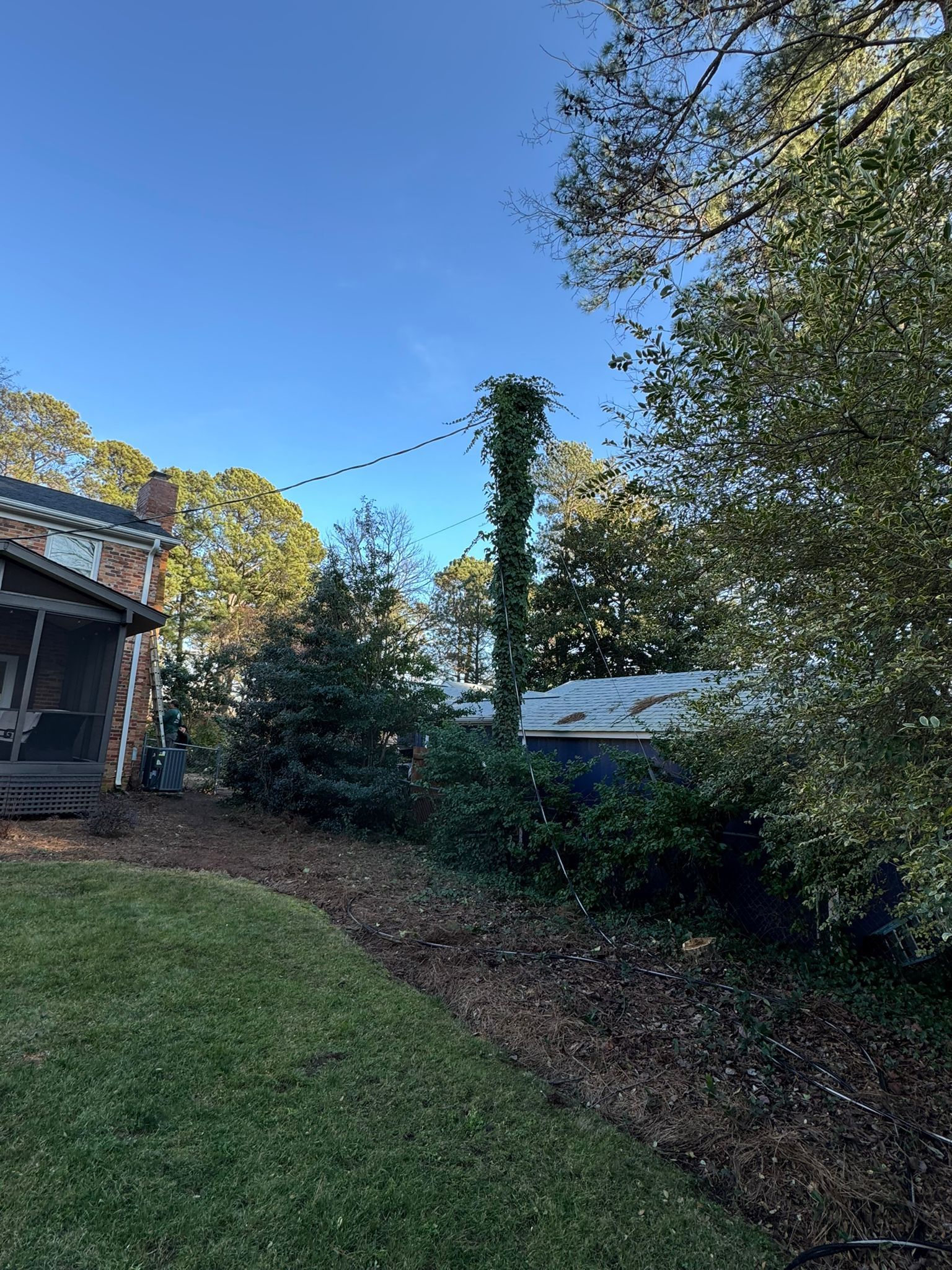 A house with a porch and a lot of trees in the backyard.