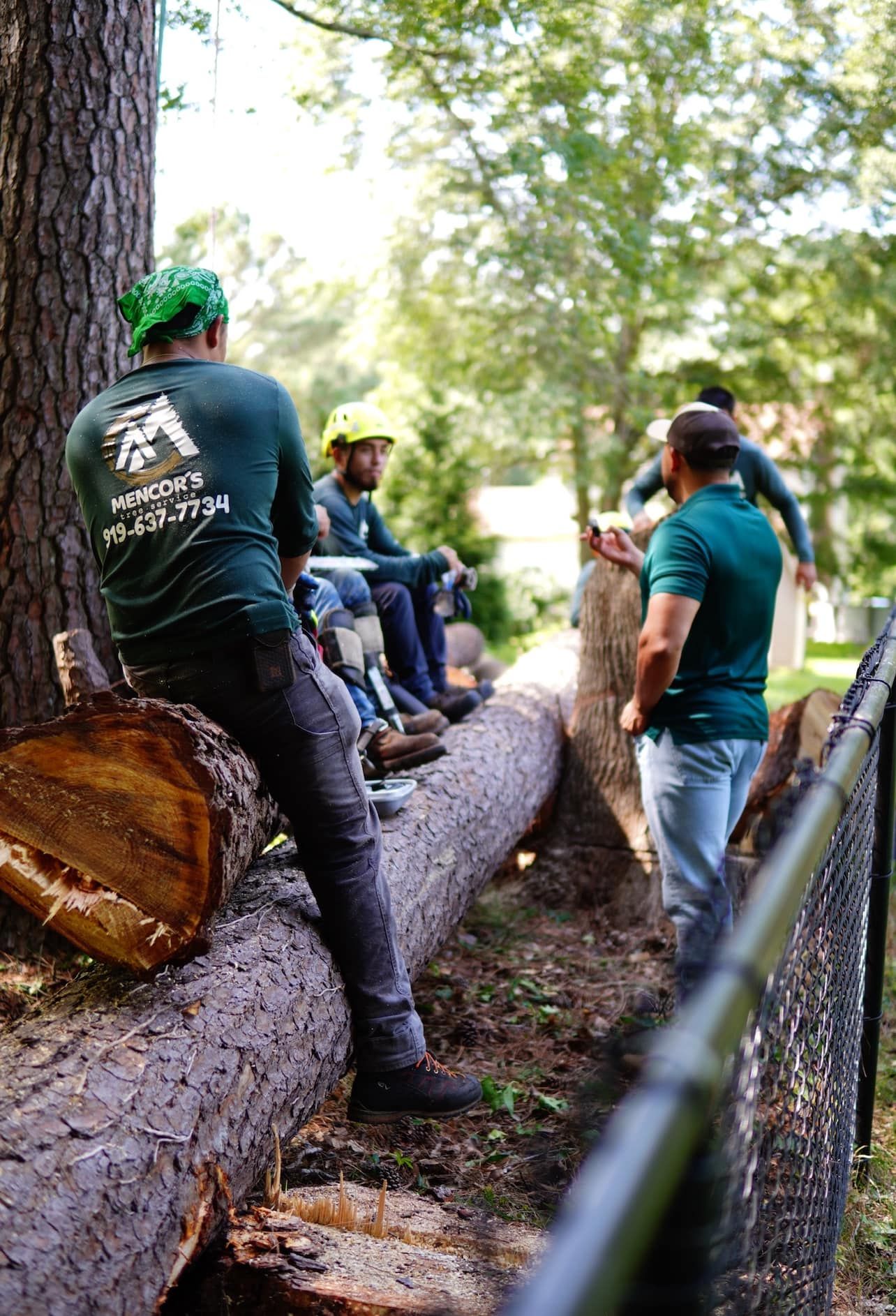 Tree workers in green shirts and hats take a break, sitting and standing on logs beside a fence.