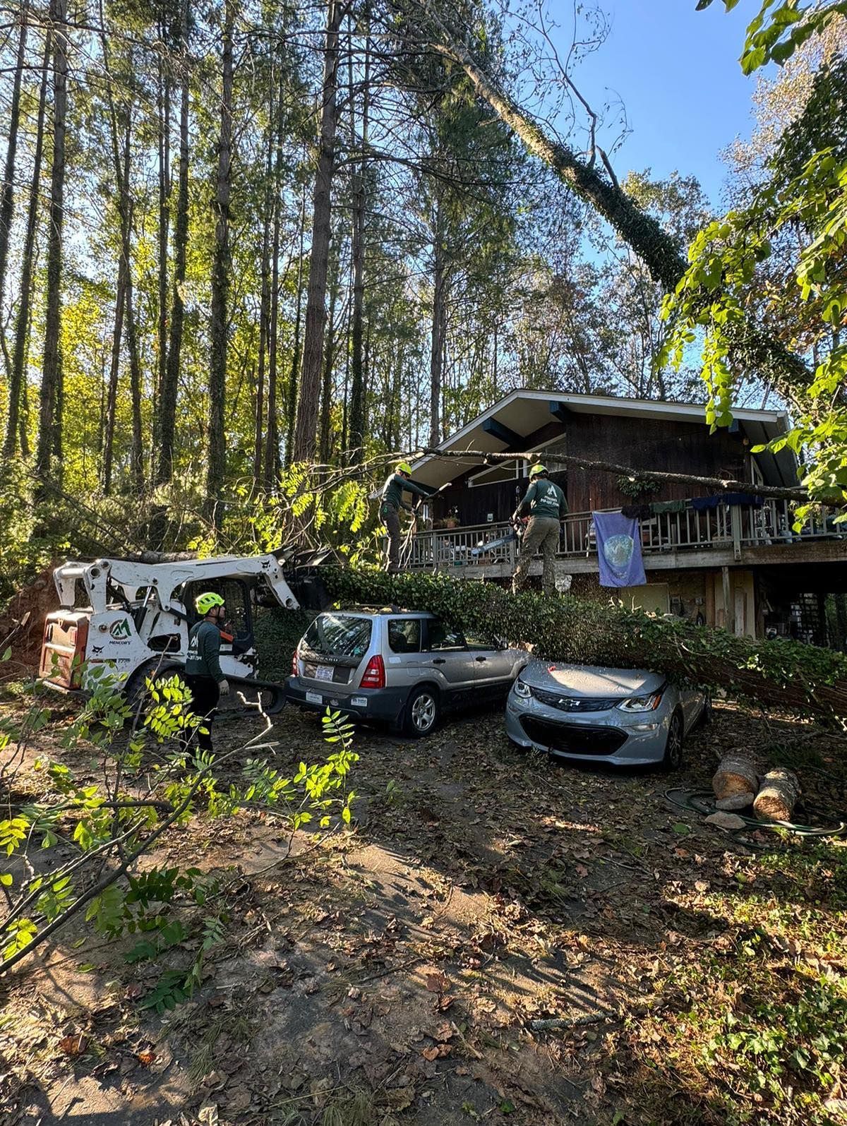 A fallen tree has damaged two cars and a building with people on the deck. A tree service truck is on site.