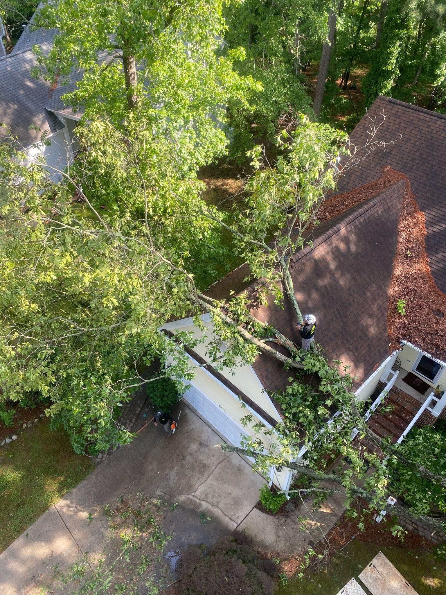 Overhead view of a house with trees. A person on the roof near fallen tree branches. Trees, a gray roof, and a yellow garage.