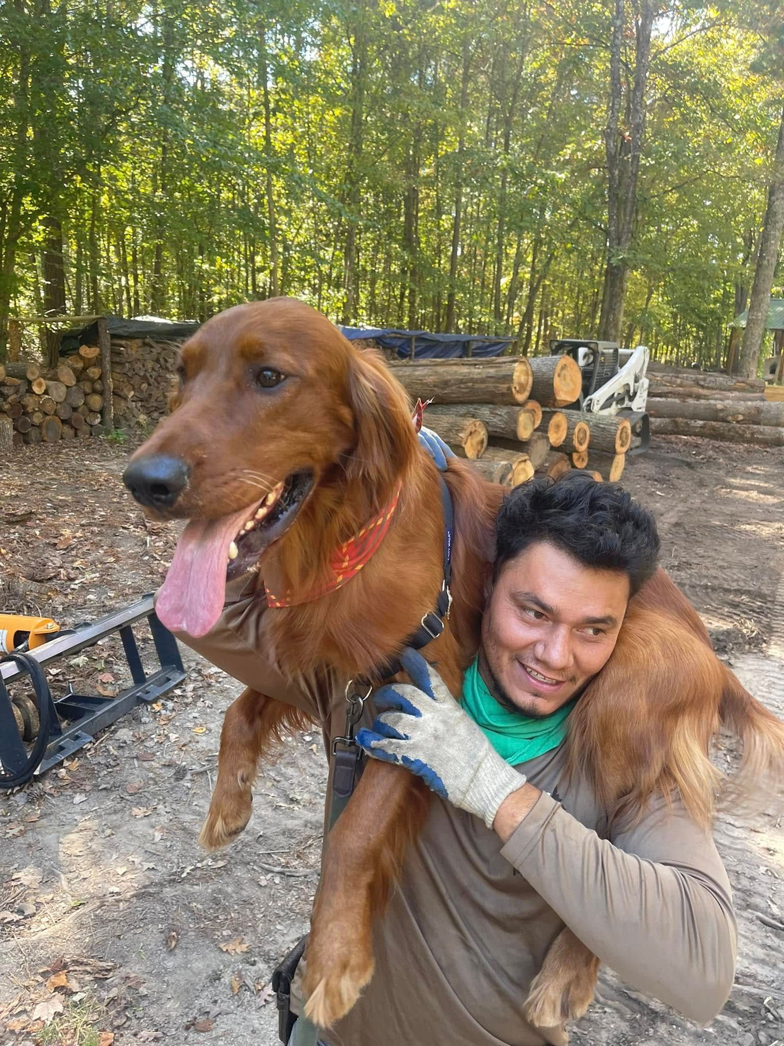 A man smiles while carrying a golden retriever dog on his shoulders outdoors in a forest.