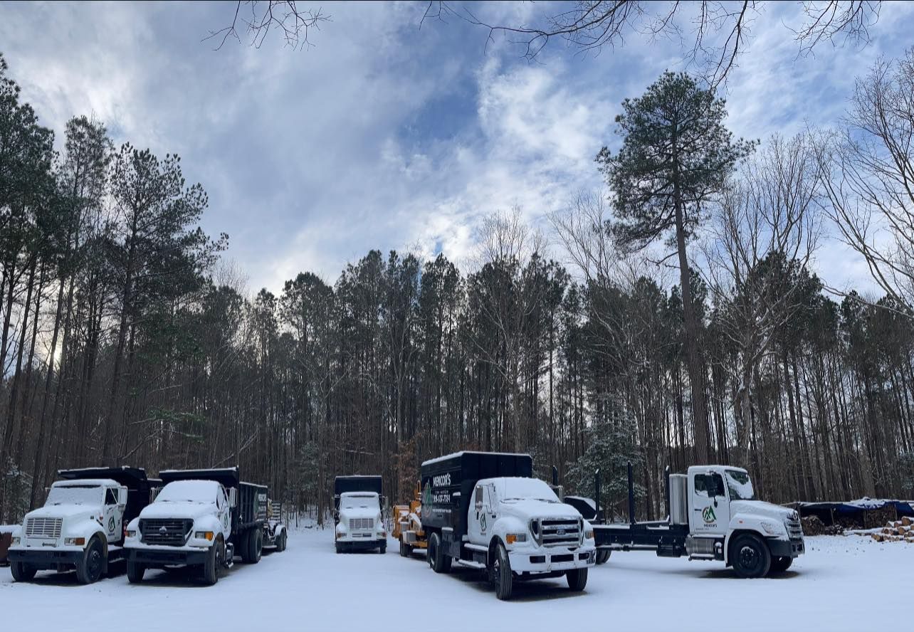 Five snow-covered dump trucks parked in a snowy field in front of a forest with a cloudy sky overhead.