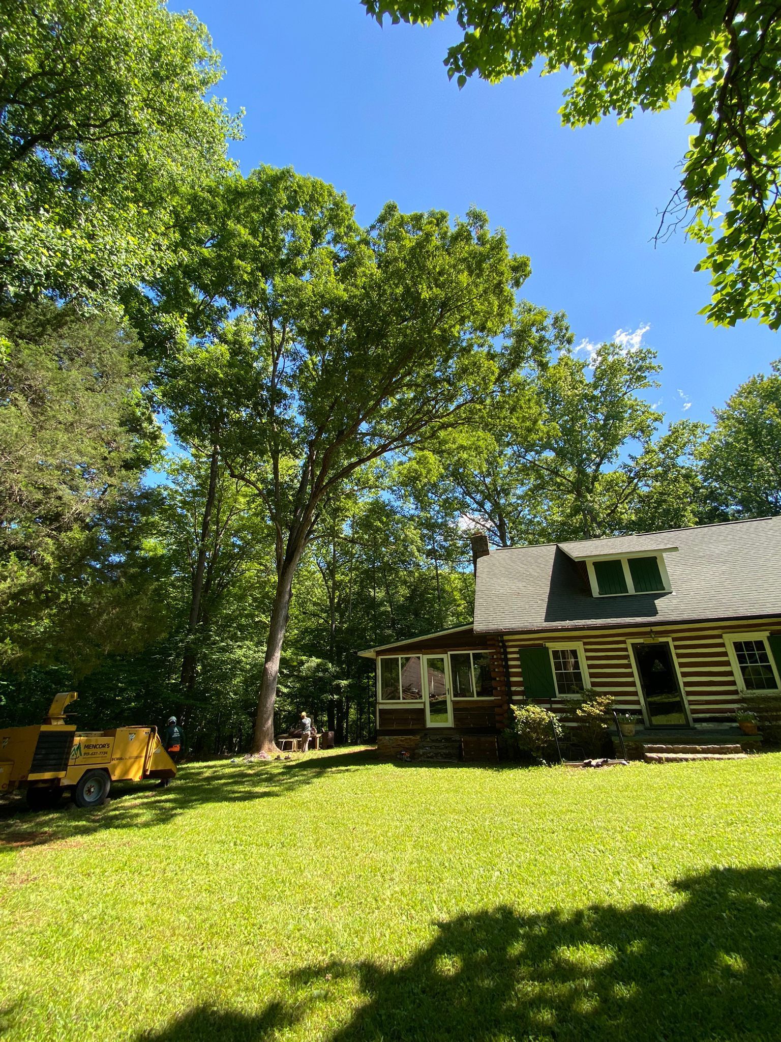 A house with a lot of trees in front of it