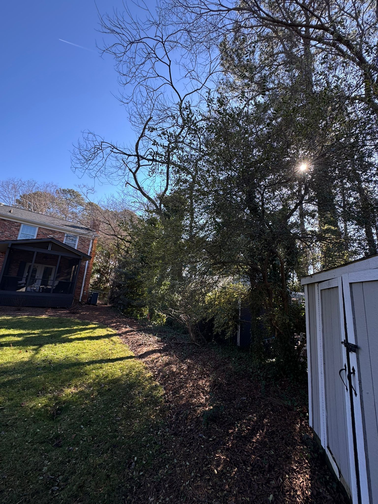 The sun is shining through the trees in the backyard of a house.