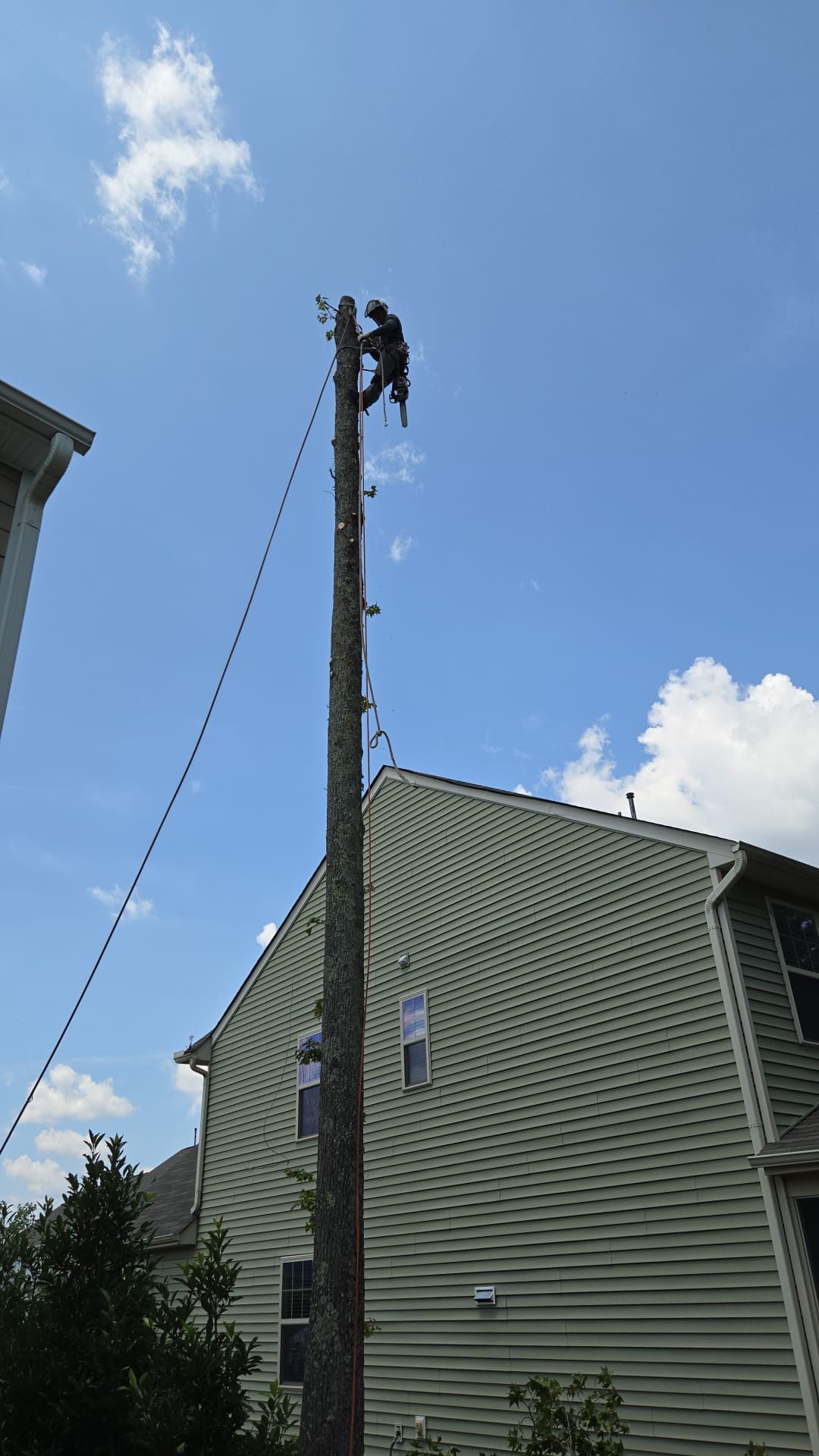A man is climbing a tree stump in front of a house.