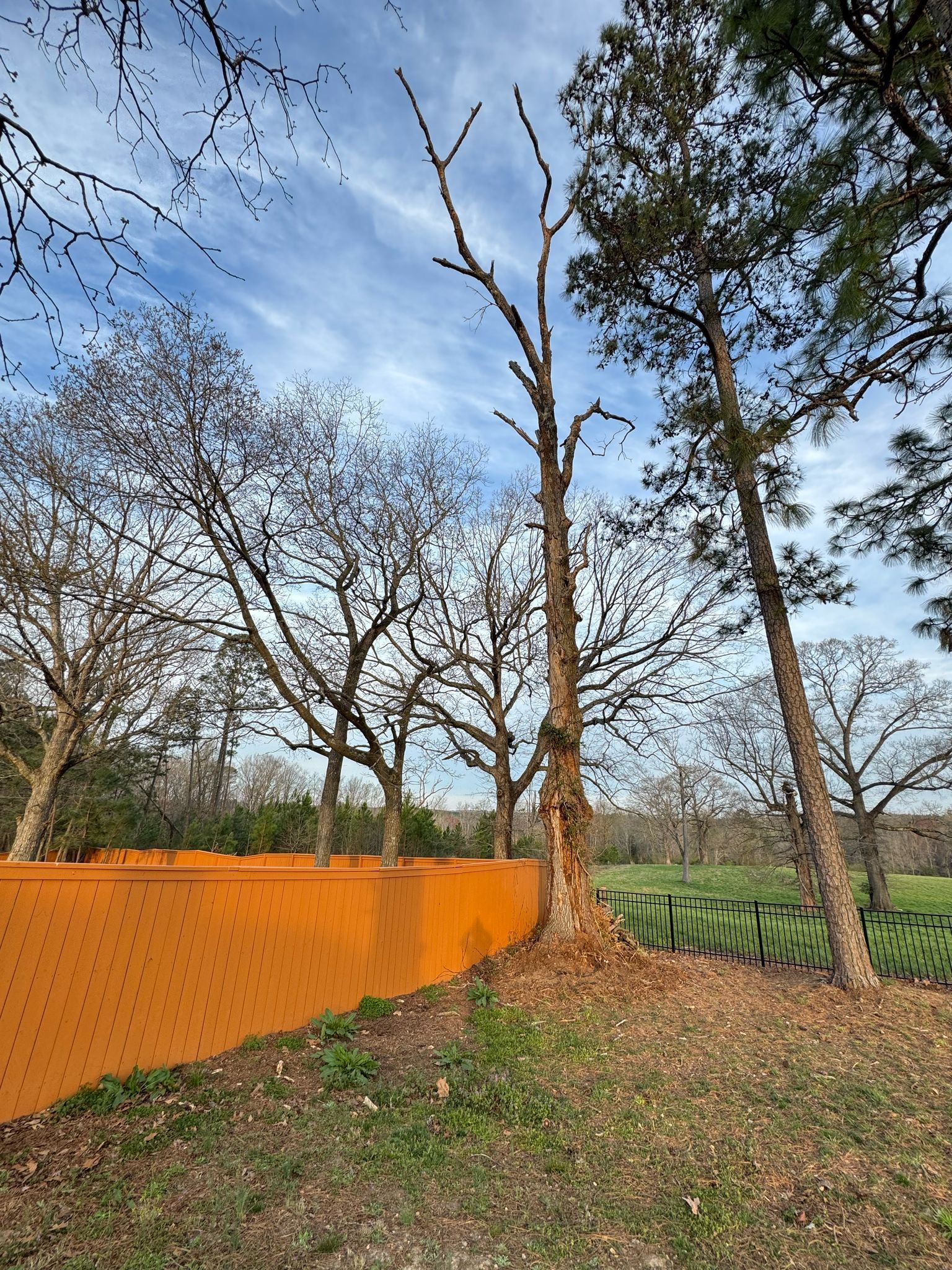 A wooden fence surrounds a field with trees in the background.
