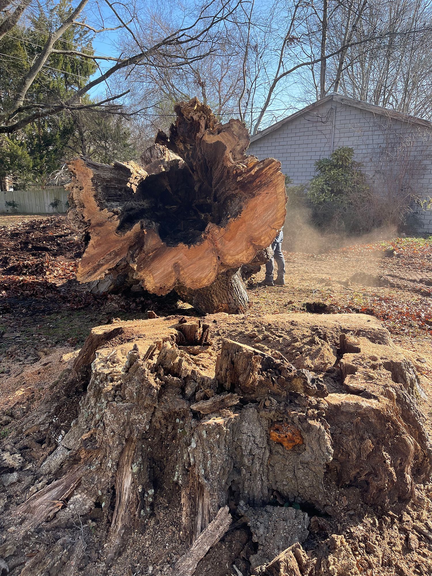A large tree stump is sitting in the dirt in front of a house.