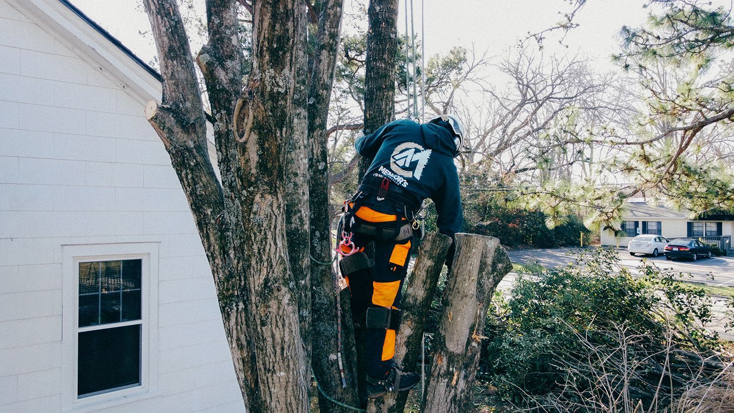 A man is climbing a tree in front of a house.