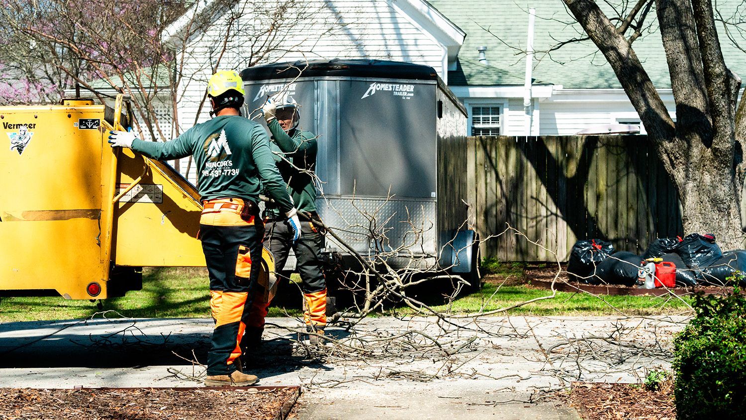 A couple of men are working on a tree in front of a house.