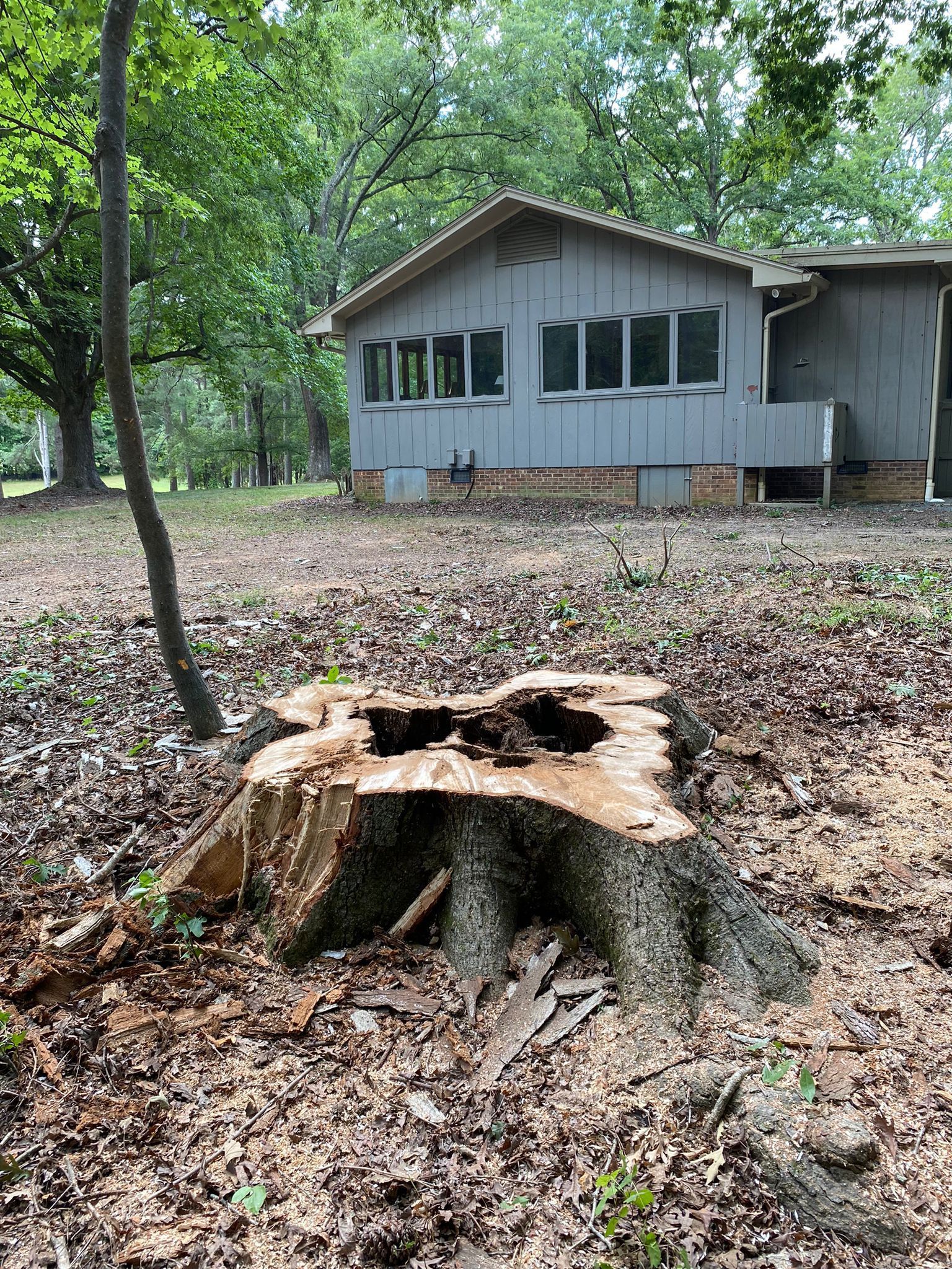 A tree stump with a hole in it is in front of a house.