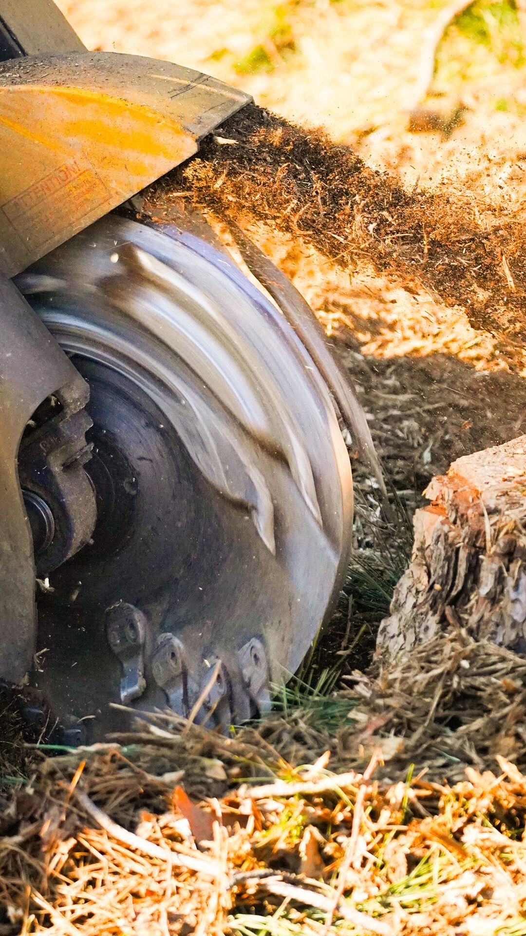 A close up of a stump grinder cutting a tree stump.