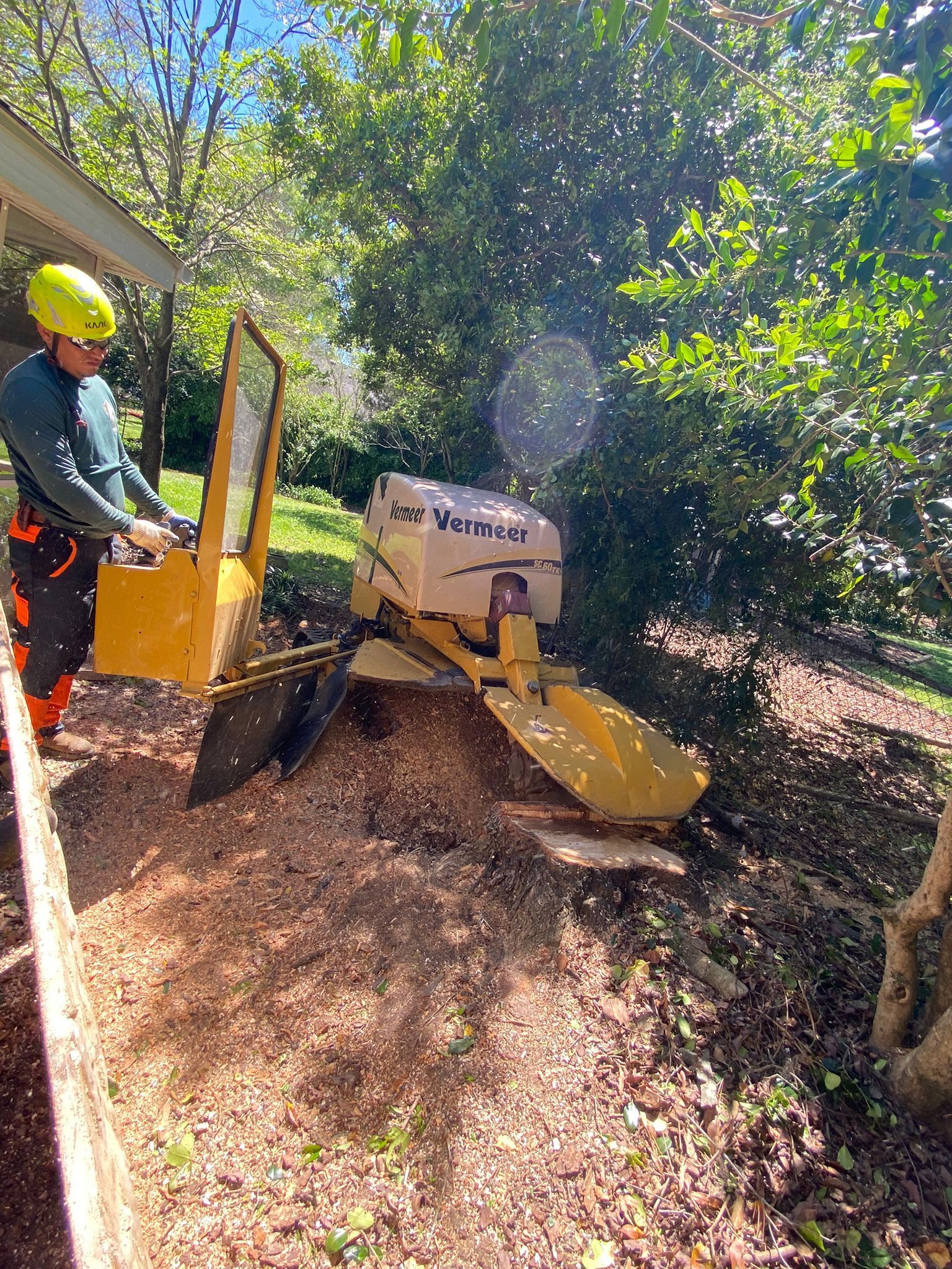 A man is using a stump grinder to remove a tree stump.