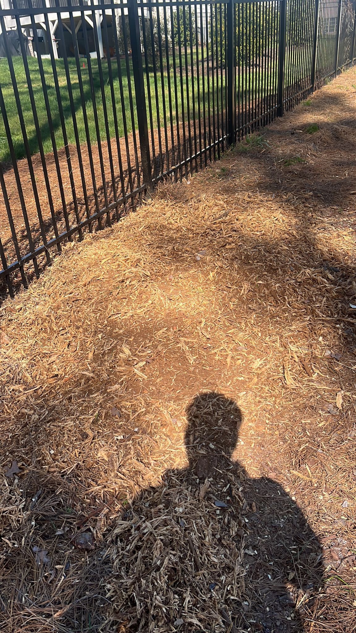 A person 's shadow is cast on a pile of mulch next to a fence.