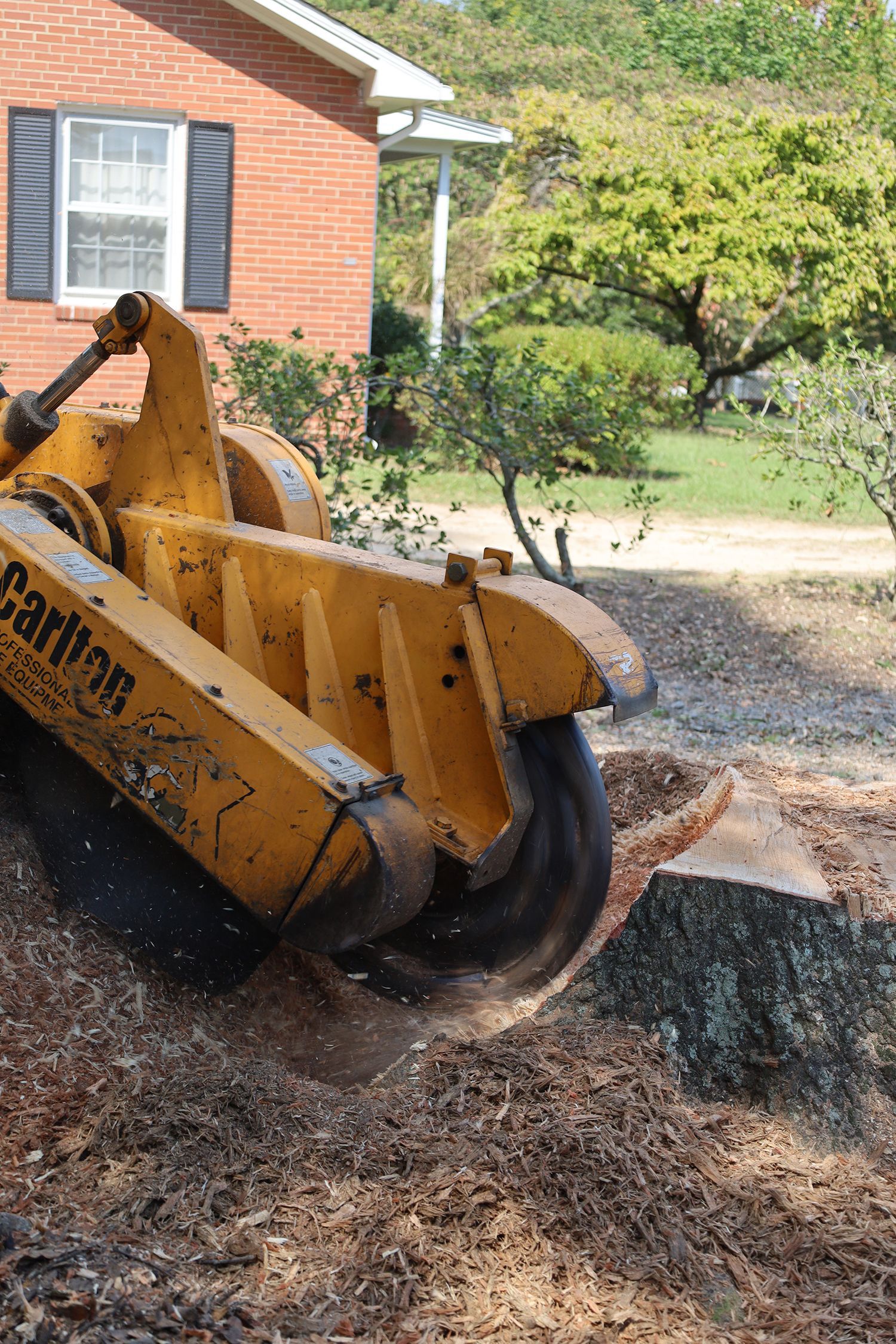 A stump grinder is cutting a tree stump in front of a brick house.