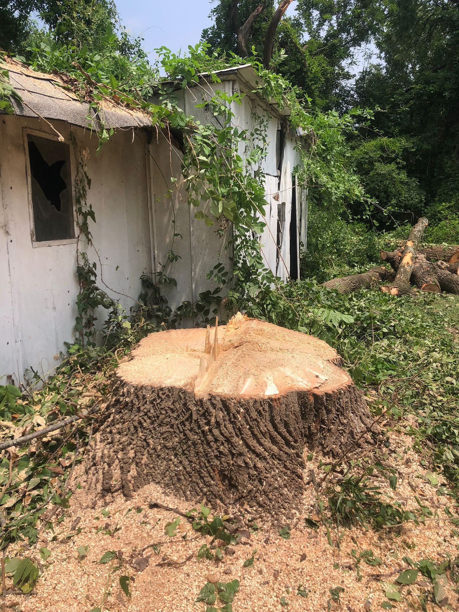 A large tree stump is sitting in front of a white building.