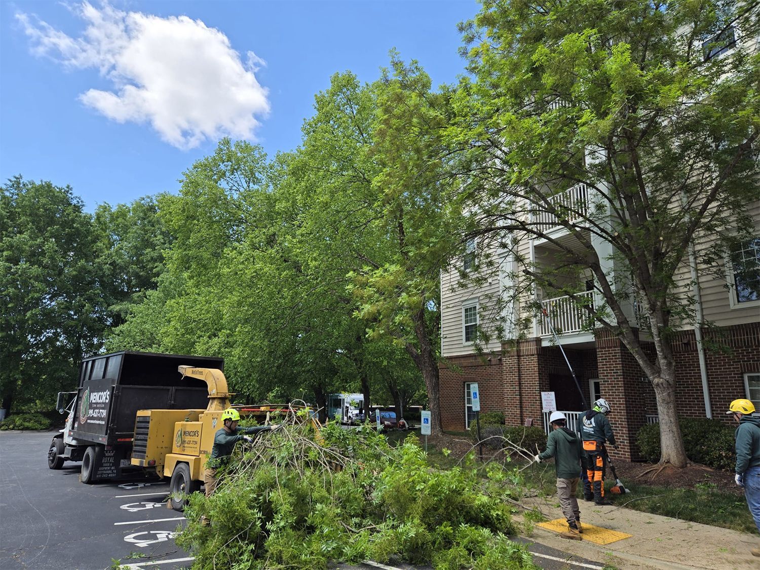 A group of people are cutting trees in front of a building.
