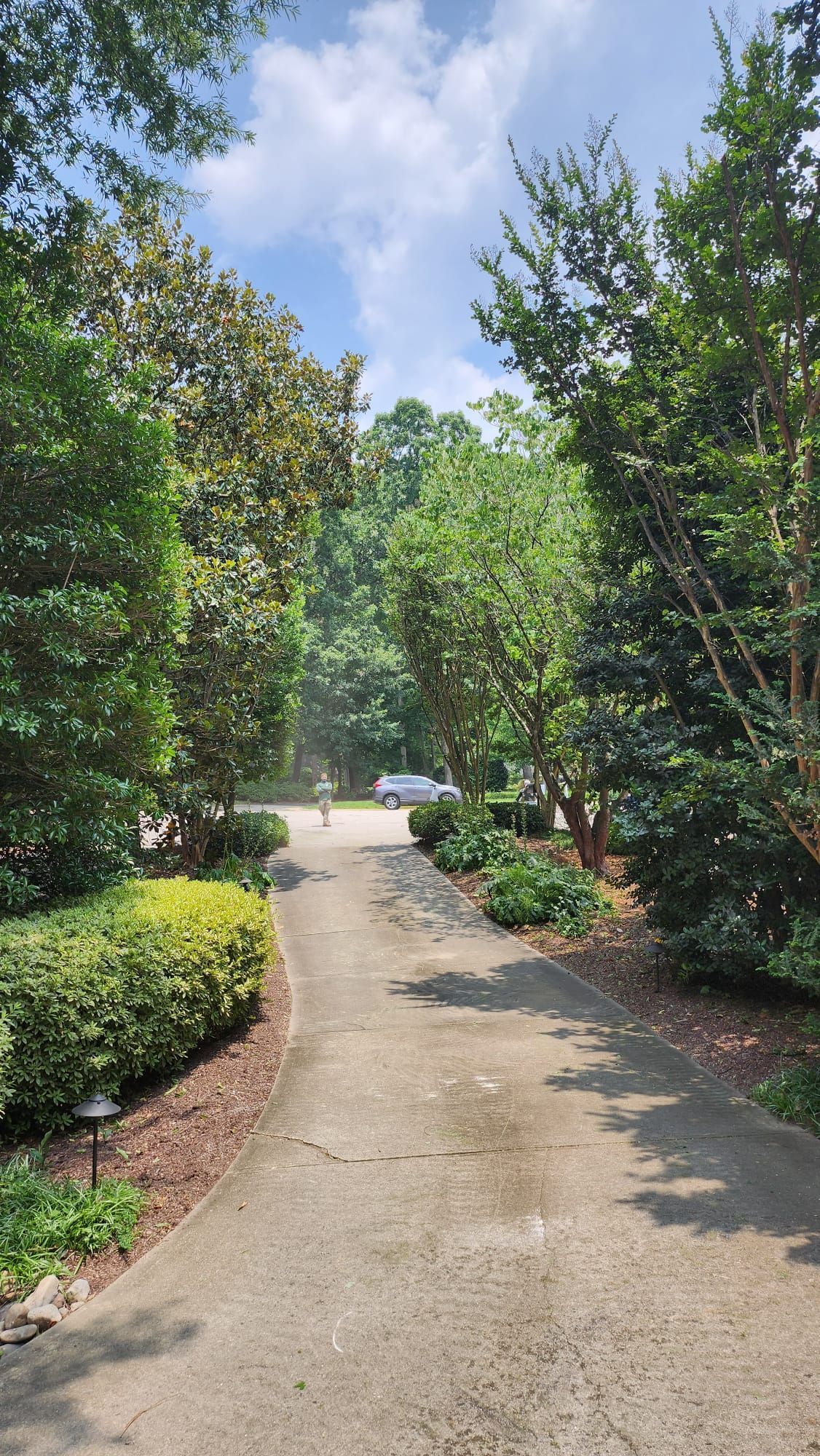 A driveway surrounded by trees and bushes on a sunny day.