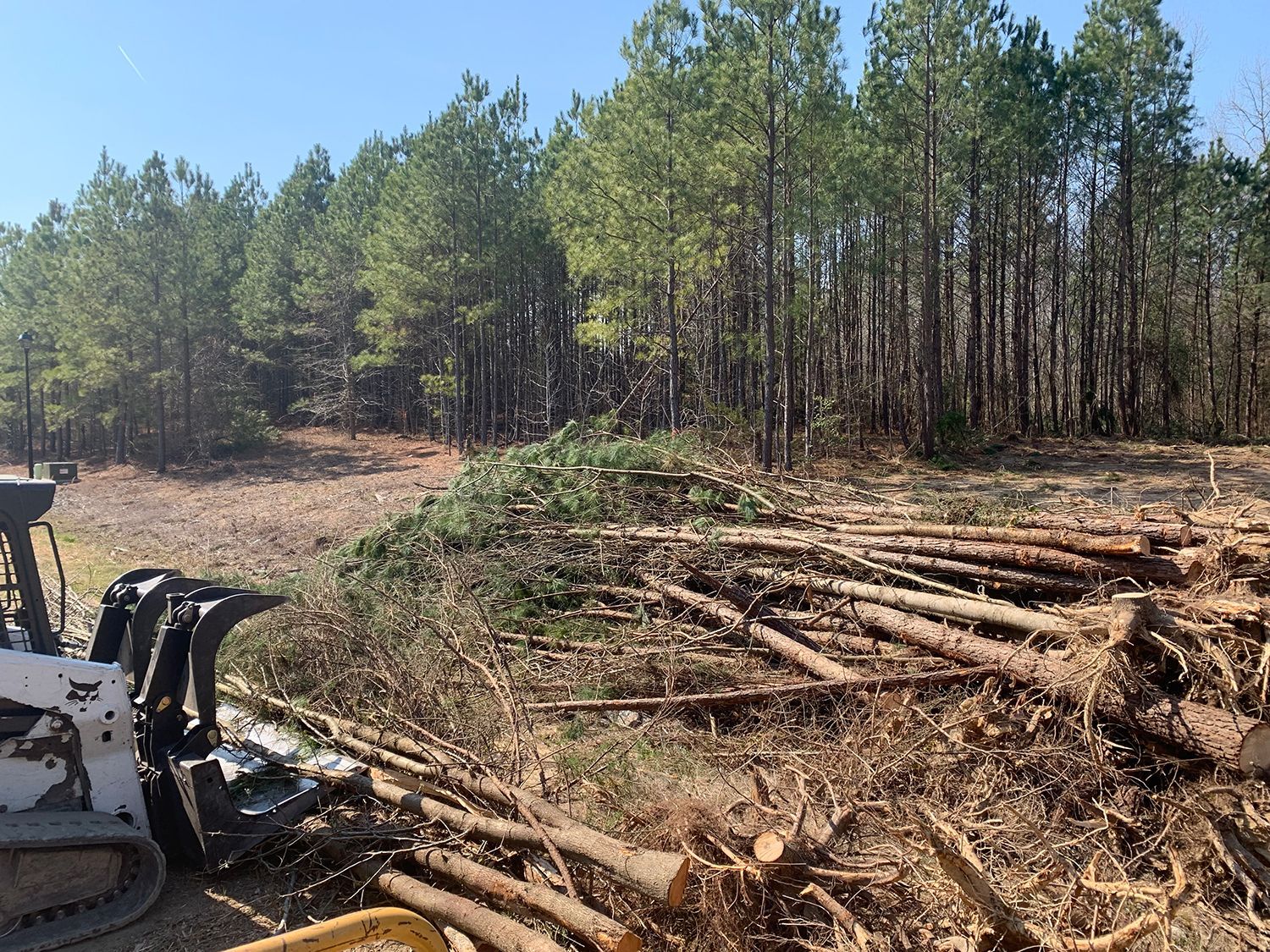 A bulldozer is sitting in a pile of logs in the middle of a forest.