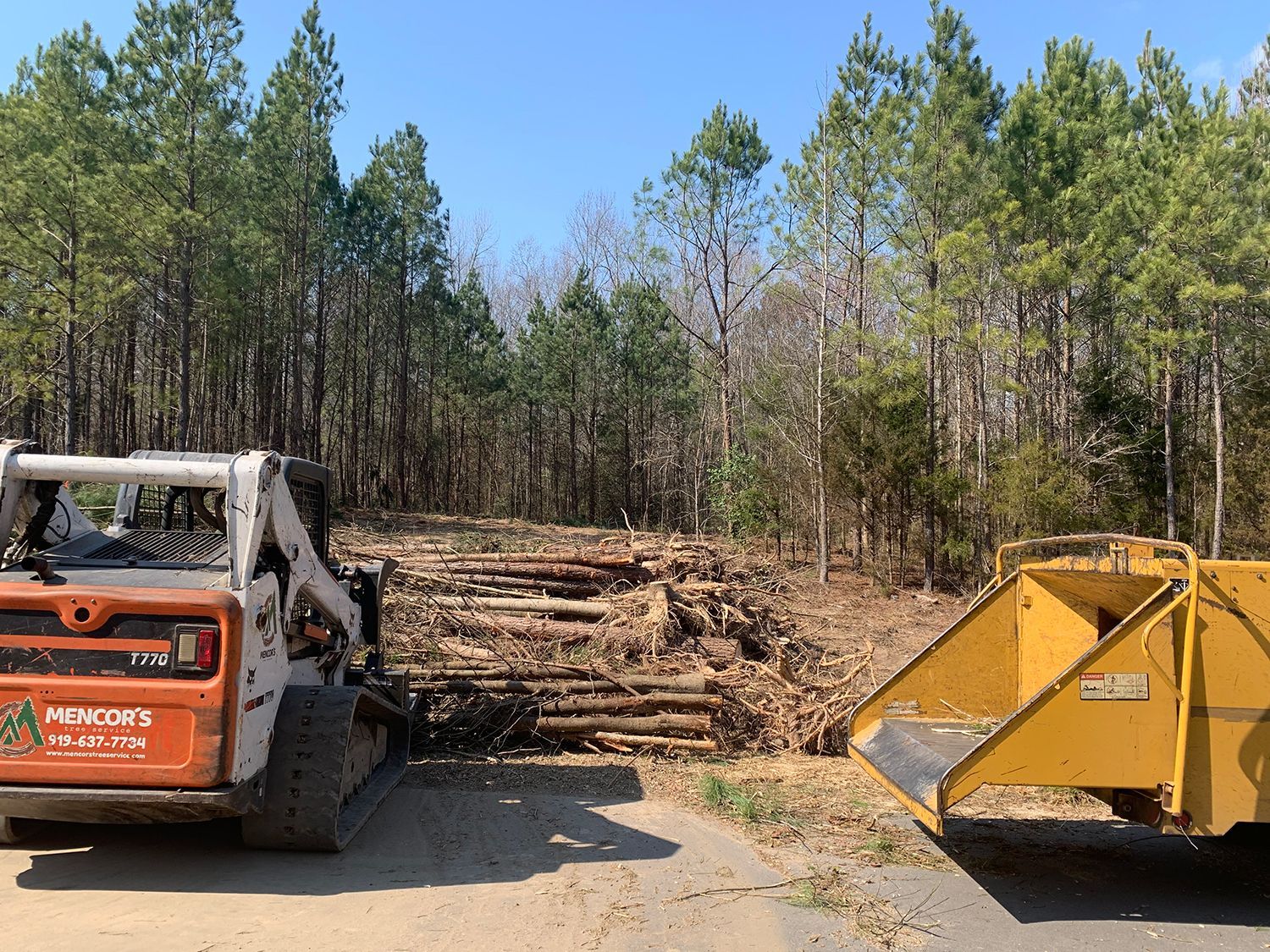 A bobcat is parked in front of a pile of logs in the woods.