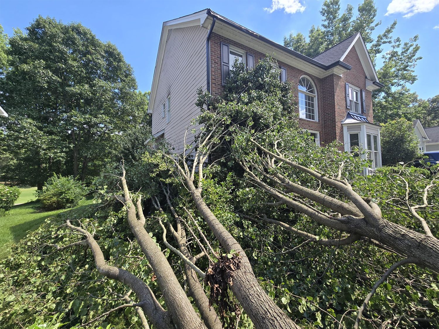 A tree that has fallen in front of a house.