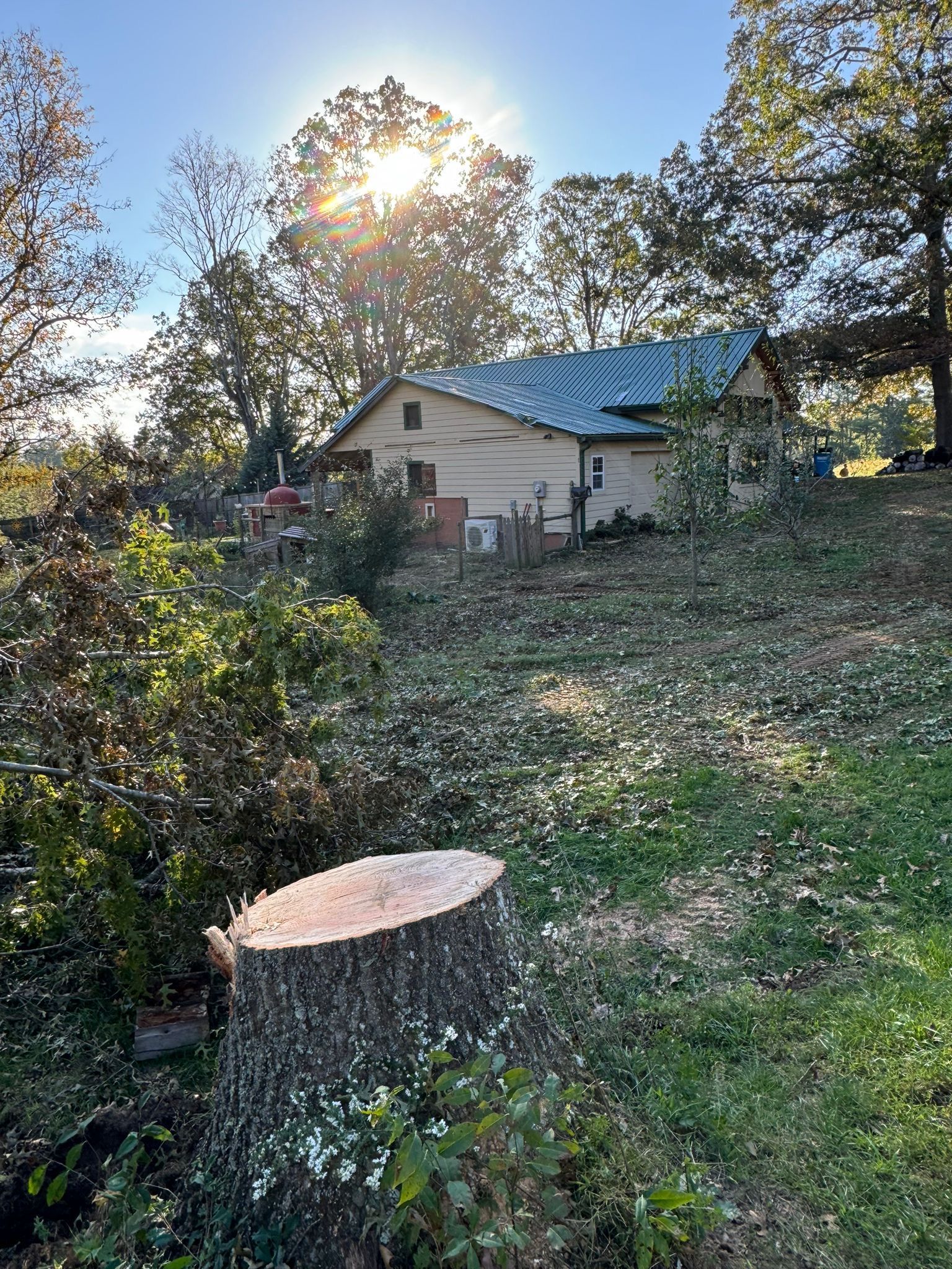 A tree stump in front of a house with the sun shining through the trees.