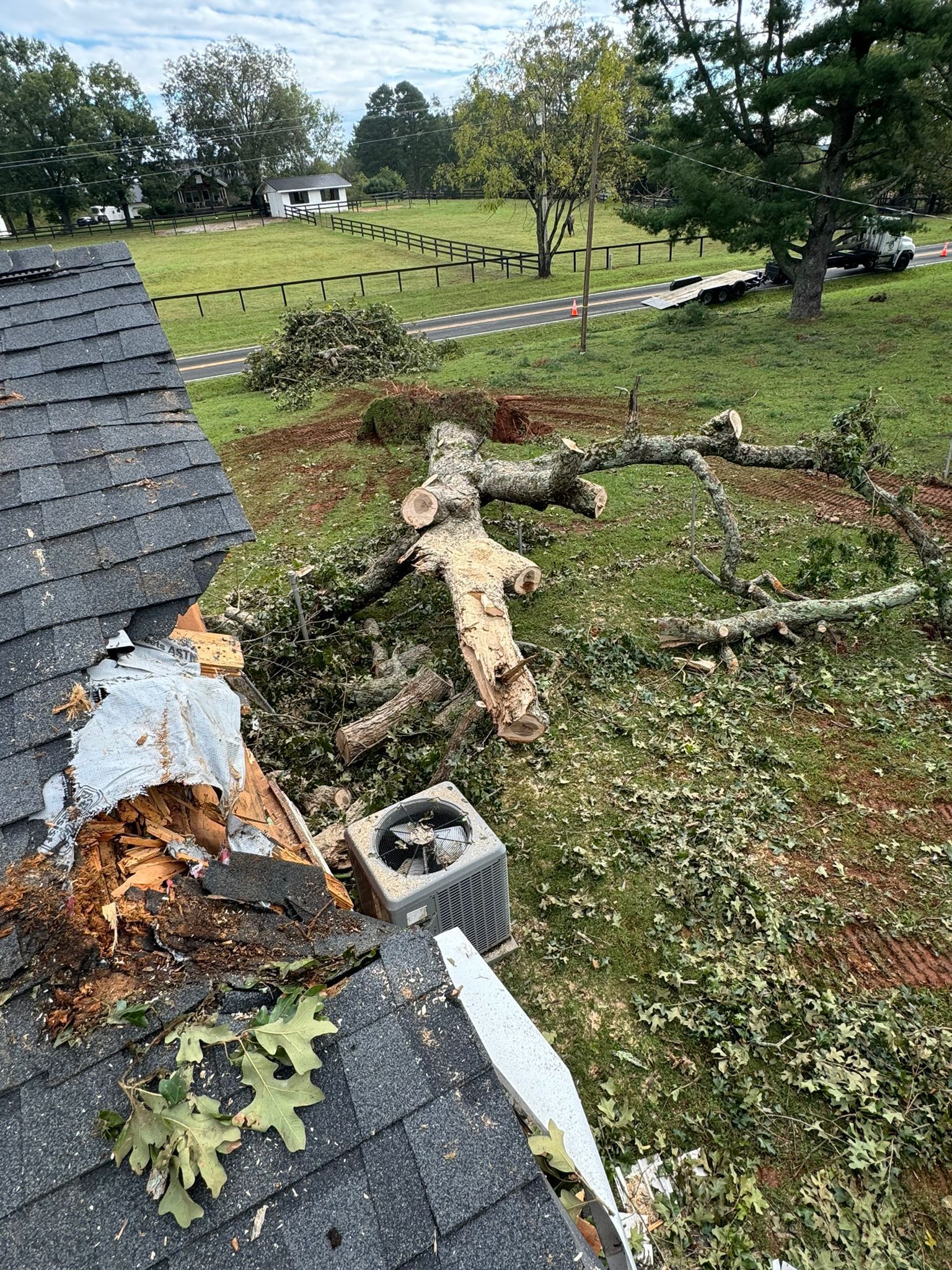 A roof of a house with a tree fallen on it.