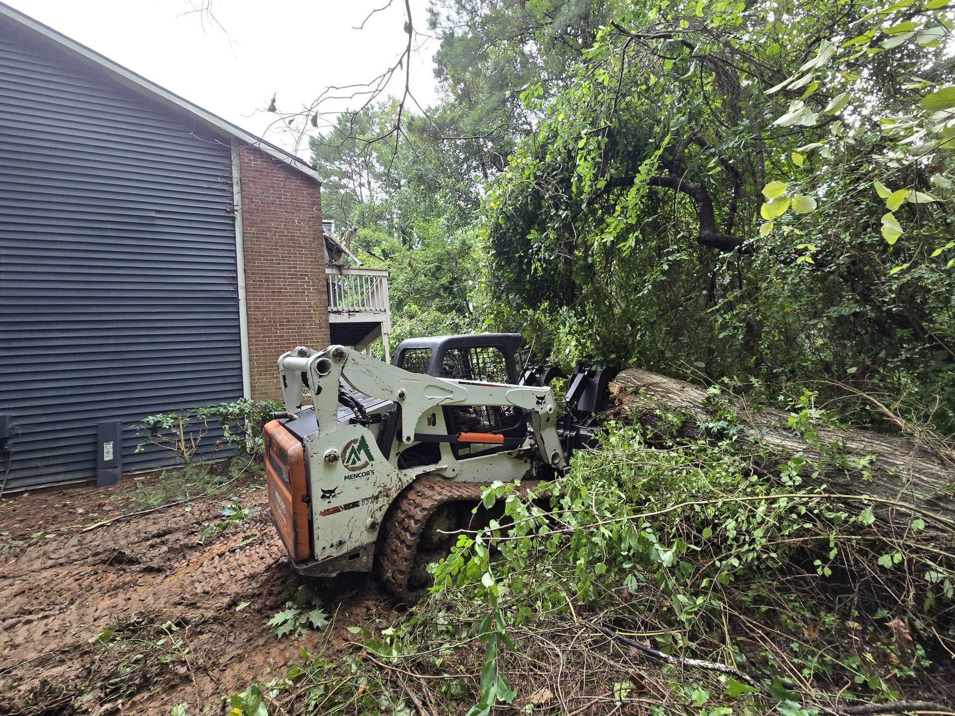 A bobcat is cutting down trees in front of a house.