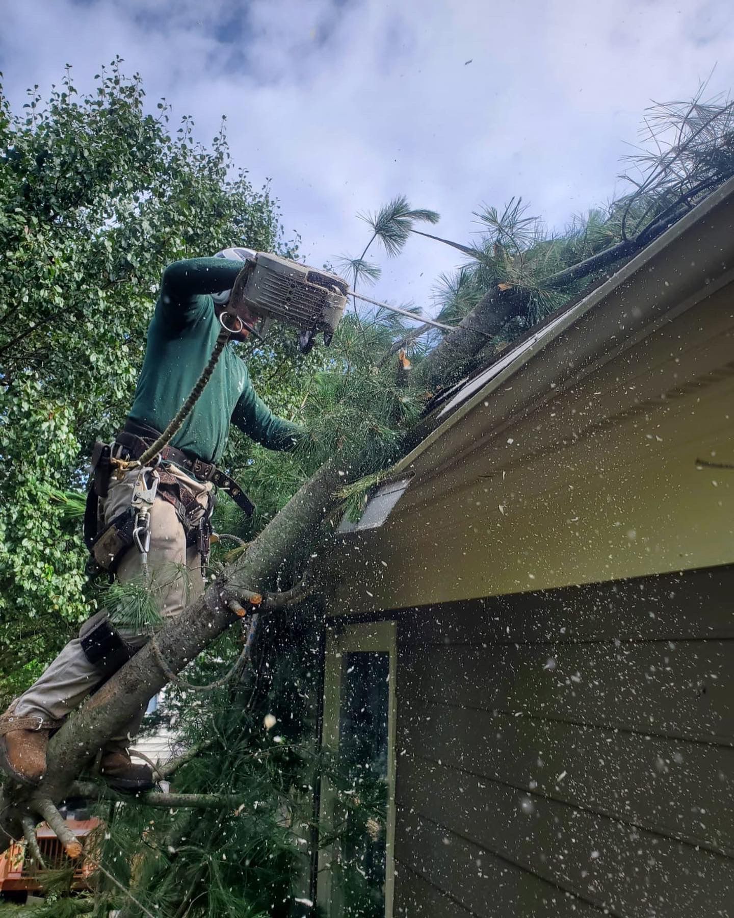 A man is cutting down a tree on the roof of a house