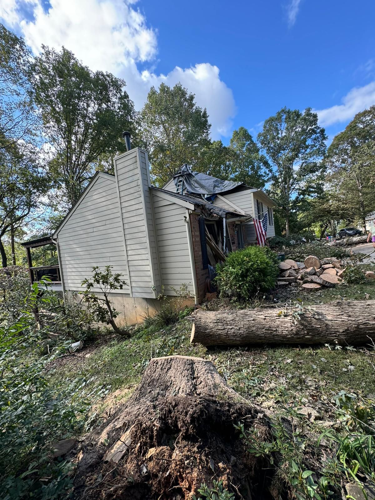 A house with a fallen tree in front of it.