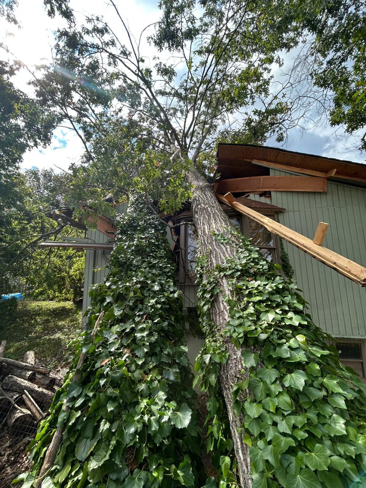 A large tree has fallen on top of a house.
