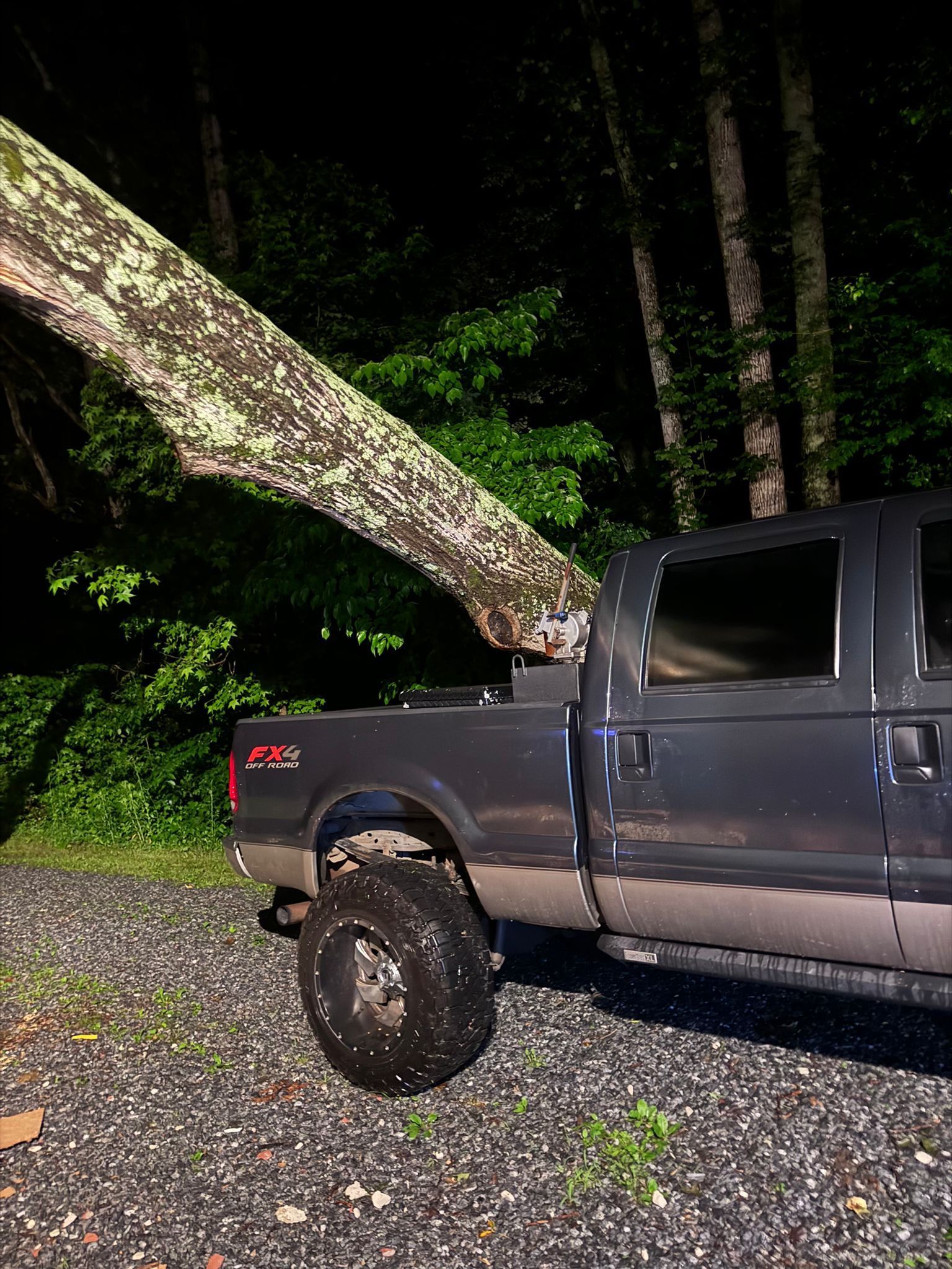 A truck with a tree fallen on top of it