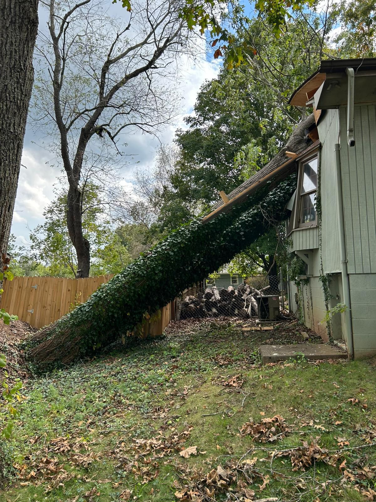 A tree has fallen on the roof of a house.