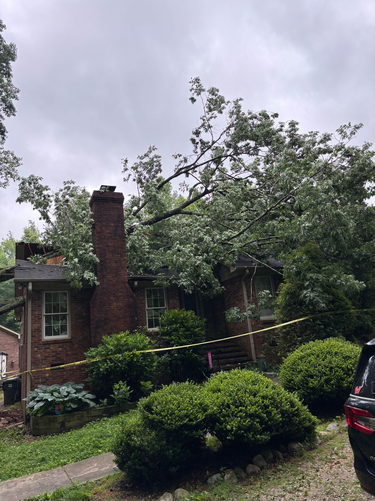 A car is parked in front of a house with a tree fallen on it.