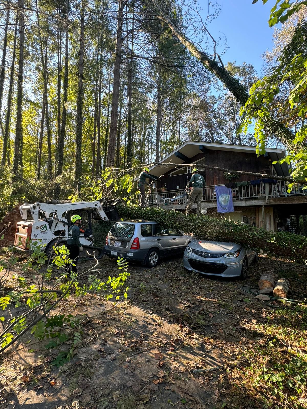 A house in the middle of a forest with cars parked in front of it.