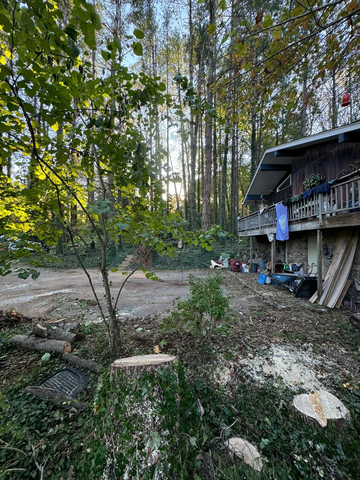 A large tree stump is in front of a house in the woods.